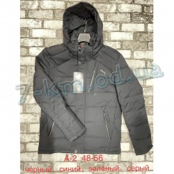 Куртка чоловіча ZeL1390_A-2 холлофайбер 5 шт (48-56 р)