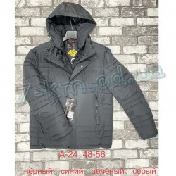 Куртка чоловіча ZeL1390_A-24 холлофайбер 5 шт (48-56 р)