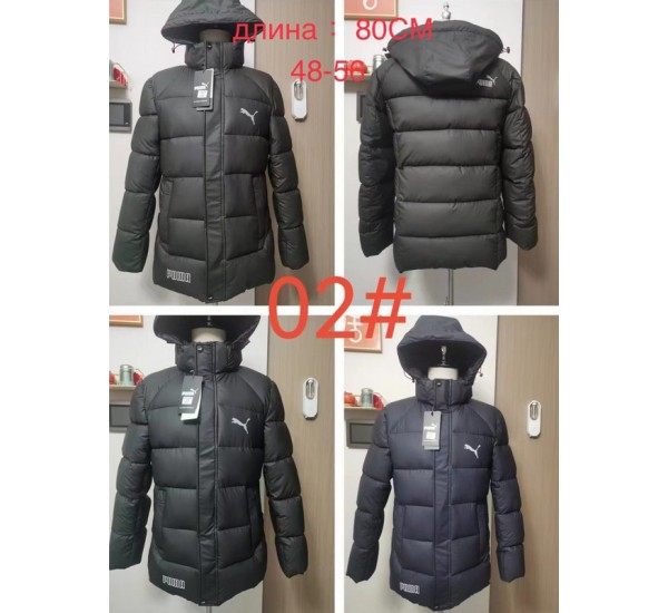 Куртка мужская 5 шт холлофайбер (48-56 р) ZeL1387_2302