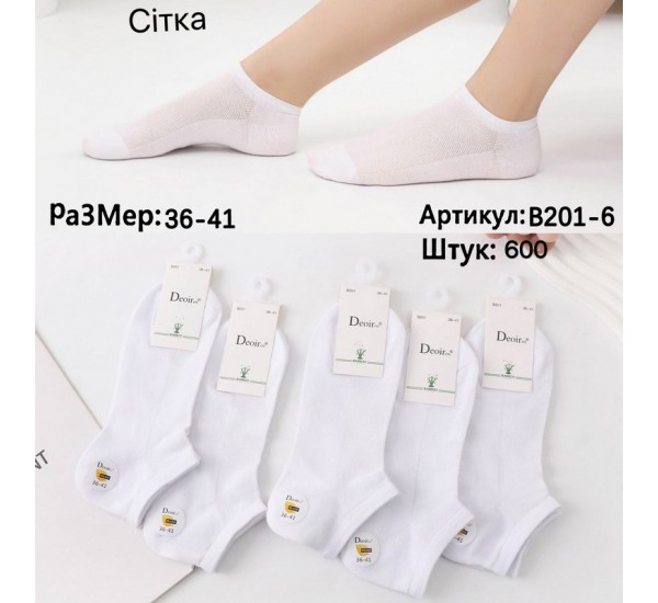 Шкарпетки жіночі 10 шт (36-41 р) сетка KiE_B201-6