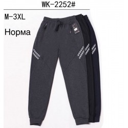 Спорт штани чоловічі, трикотаж 5 шт (M-3XL) LaM_WK-2252