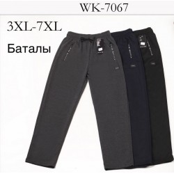 Спорт штаны мужские, трикотаж 5 шт (3-7XL) LaM_WK-7067