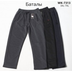 Спорт штани чоловічі, трикотаж 5 шт (3-7XL) LaM_WK-7313