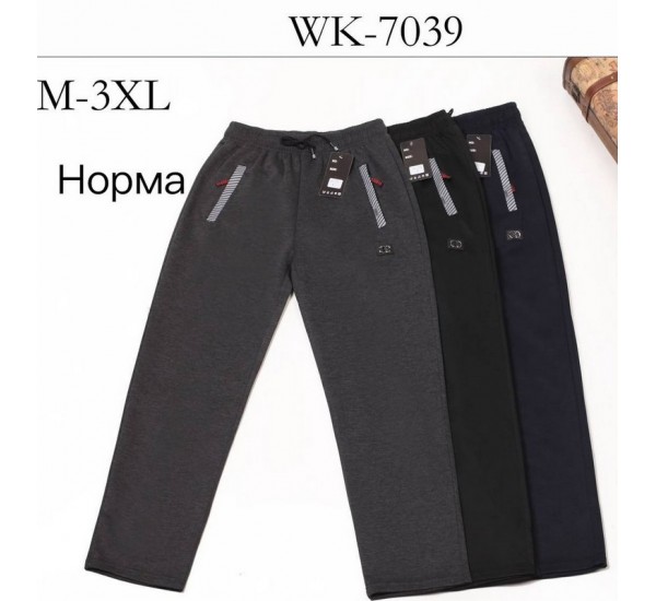 Спорт штани чоловічі, трикотаж 5 шт (M-3XL) LaM_WK-7039