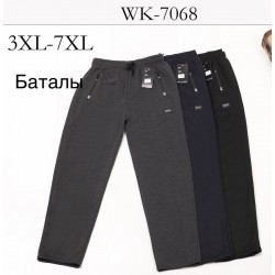 Спорт штани чоловічі, трикотаж 5 шт (3-7XL) LaM_WK-7068