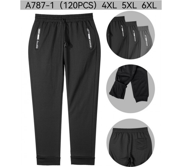Спорт штани чоловічі 12 шт (4-6XL) трикотаж PaH_787-1