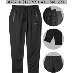 Спорт штани чоловічі 12 шт (4-6XL) трикотаж PaH_787-4