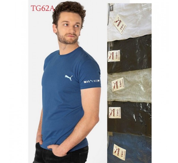 Футболка чоловіча трикотаж 5 шт (1-3XL) SeR2152_TG62A