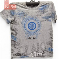 Футболка чоловіча, трикотаж, 5 шт (1-5XL) BL3060_14