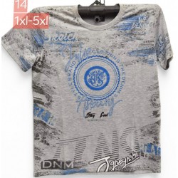 Футболка чоловіча, трикотаж, 5 шт (1-5XL) BL3060_14