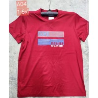 Футболка чоловіча, трикотаж, 5 шт (1-5XL) BL3060_A04