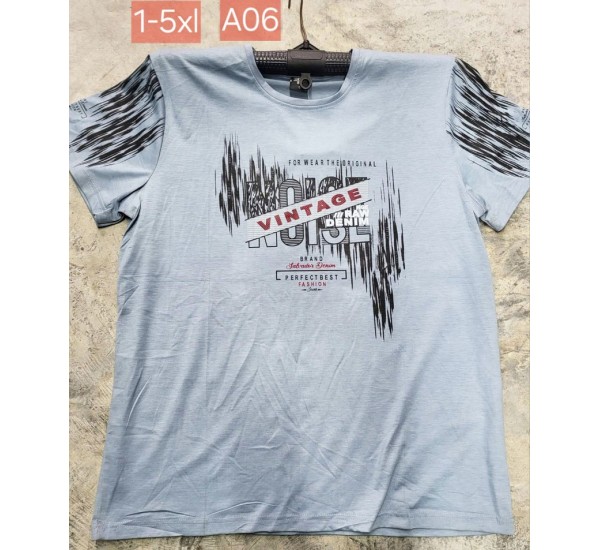 Футболка чоловіча, трикотаж, 5 шт (1-5XL) BL3060_A06