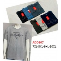 Футболка чоловіча, трикотаж, 5 шт (7-10XL) BL3060_ADD807