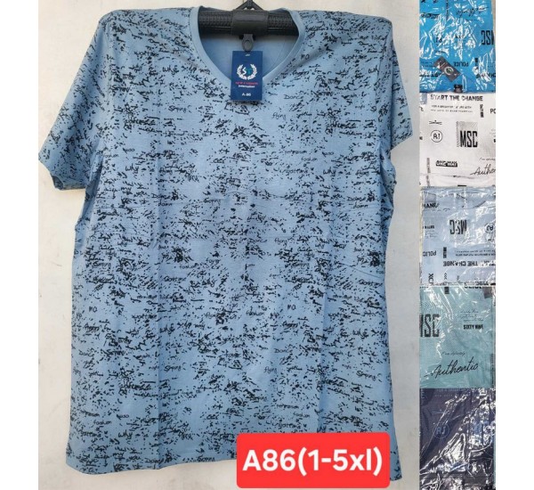 Футболка чоловіча, трикотаж, 5 шт (1-5XL) BL3060_A86