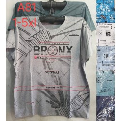 Футболка чоловіча, трикотаж, 5 шт (1-5XL) BL3060_A81