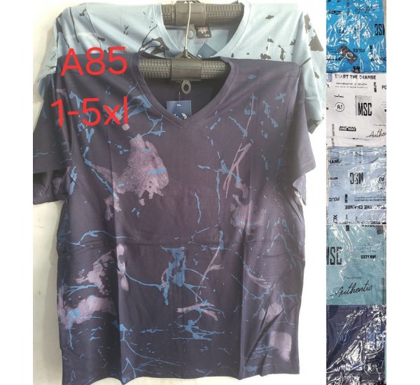 Футболка чоловіча, трикотаж, 5 шт (1-5XL) BL3060_A85