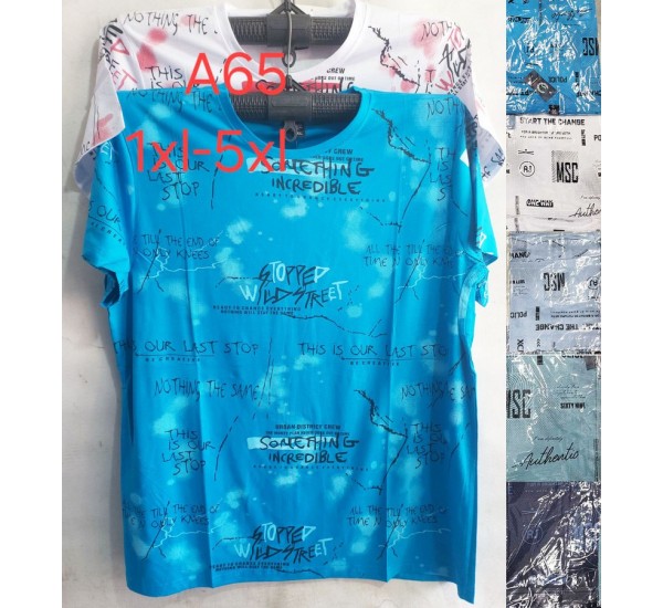 Футболка чоловіча, трикотаж, 5 шт (1-5XL) BL3060_A65