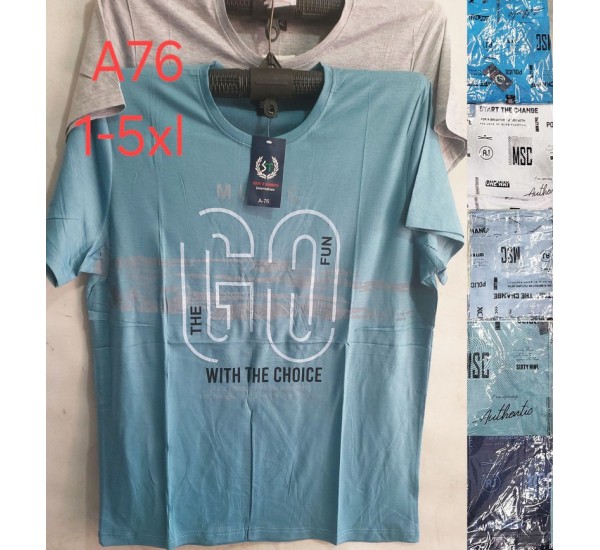 Футболка чоловіча, трикотаж, 5 шт (1-5XL) BL3060_A76