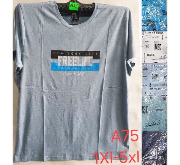 Футболка чоловіча, трикотаж, 5 шт (1-5XL) BL3060_A75