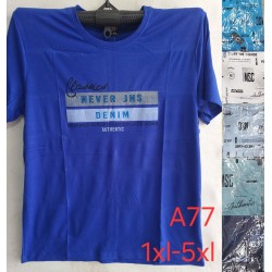 Футболка чоловіча, трикотаж, 5 шт (1-5XL) BL3060_A77