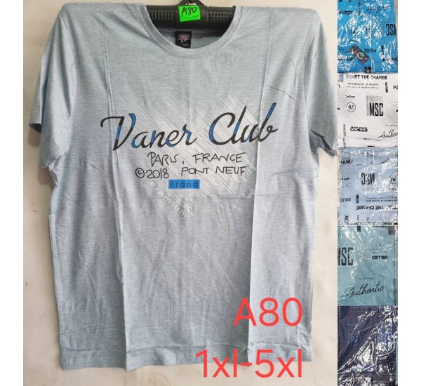 Футболка чоловіча, трикотаж, 5 шт (1-5XL) BL3060_A80
