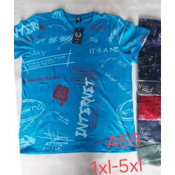 Футболка чоловіча, трикотаж, 5 шт (1-5XL) BL3060_A66