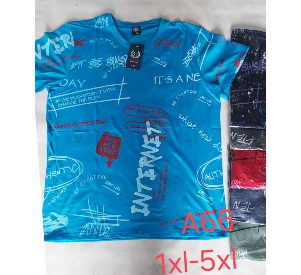 Футболка чоловіча, трикотаж, 5 шт (1-5XL) BL3060_A66