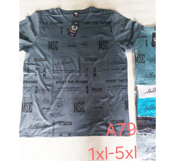 Футболка чоловіча, трикотаж, 5 шт (1-5XL) BL3060_A79