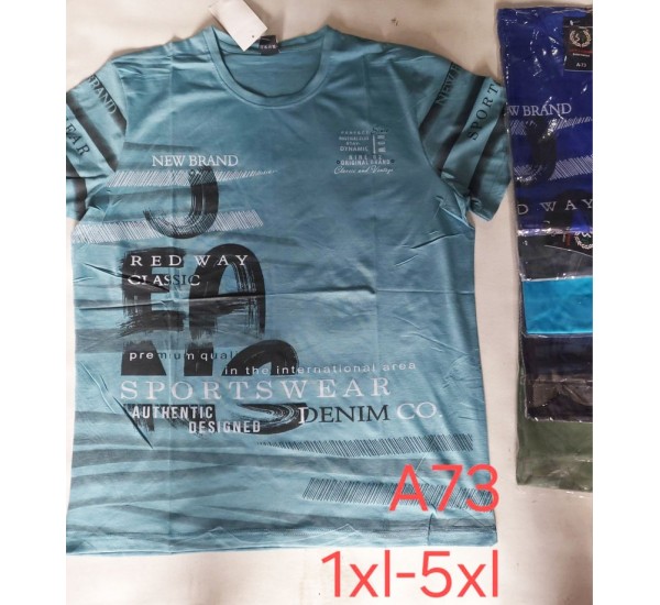 Футболка чоловіча, трикотаж, 5 шт (1-5XL) BL3060_A73