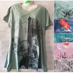 Футболка жіноча, трикотаж, 5 шт (5-8XL) BL3060_BD413