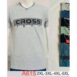 Футболка чоловіча, трикотаж, 5 шт (2-5XL) BL3060_A615