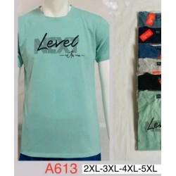 Футболка чоловіча, трикотаж, 5 шт (2-5XL) BL3060_A613