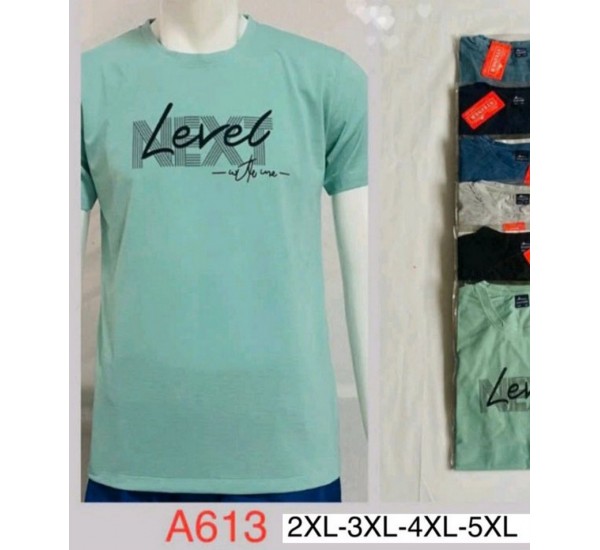 Футболка чоловіча, трикотаж, 5 шт (2-5XL) BL3060_A613