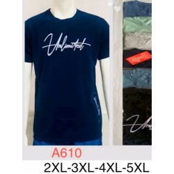 Футболка чоловіча, трикотаж, 5 шт (2-5XL) BL3060_A610