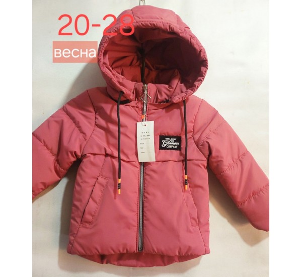 Куртка дитяча, синтепон, 5 шт (20-28 р) BL3060_211291