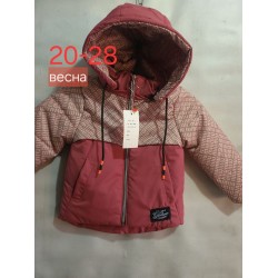 Куртка дитяча, синтепон, 5 шт (20-28 р) BL3060_211293