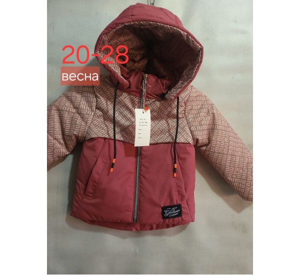 Куртка дитяча, синтепон, 5 шт (20-28 р) BL3060_211293