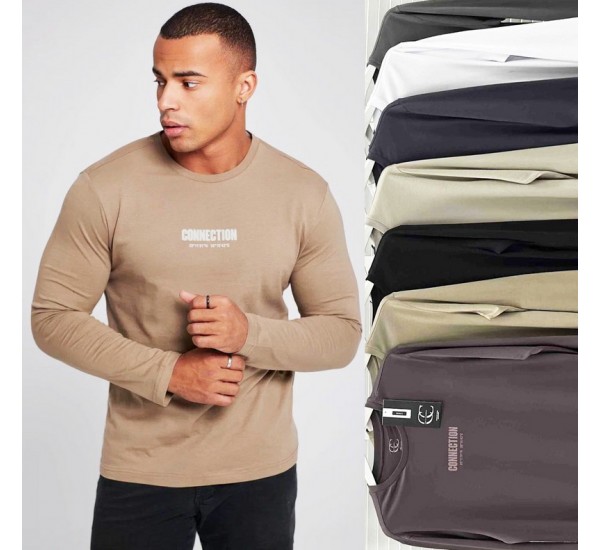Футболка чоловіча 4 шт (M-2XL) коттон BL3024_400547