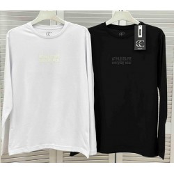 Футболка чоловіча 4 шт (M-2XL) коттон BL3024_400551