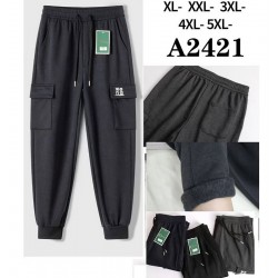 Спорт штаны мужские 5 шт (1-5XL) флис DLD_2421