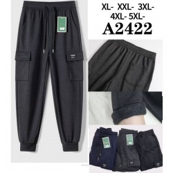 Спорт штаны мужские 5 шт (1-5XL) флис DLD_2422