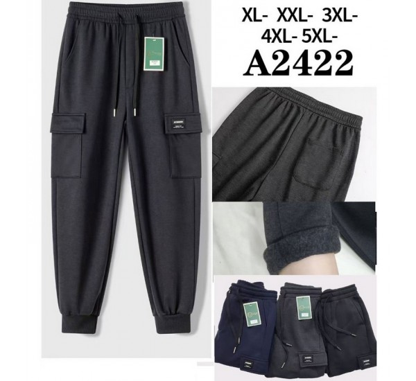 Спорт штаны мужские 5 шт (1-5XL) флис DLD_2422