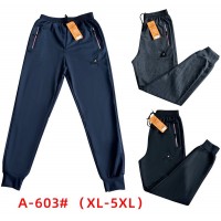 Спорт штаны мужские 5 шт (1-5XL) трикотаж DLD_A-603