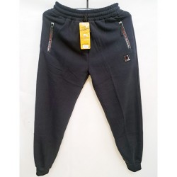 Спорт штани чоловічі 5 шт (1-5XL) фліс DLD_A15