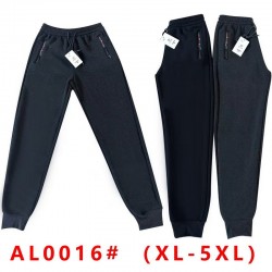 Спорт штани чоловічі 5 шт (1-5XL) фліс DLD_0016