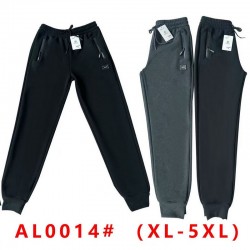 Спорт штани чоловічі 5 шт (1-5XL) фліс DLD_0014