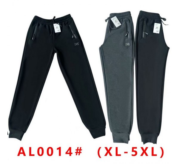 Спорт штани чоловічі 5 шт (1-5XL) фліс DLD_0014