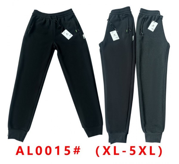 Спорт штани чоловічі 5 шт (1-5XL) фліс DLD_0015