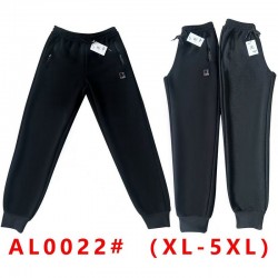 Спорт штани чоловічі 5 шт (1-5XL) фліс DLD_0022