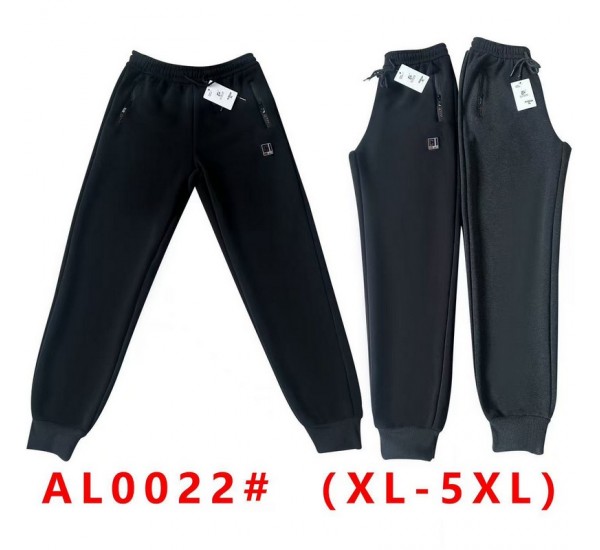 Спорт штани чоловічі 5 шт (1-5XL) фліс DLD_0022